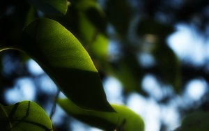 深度推荐行业标准解读